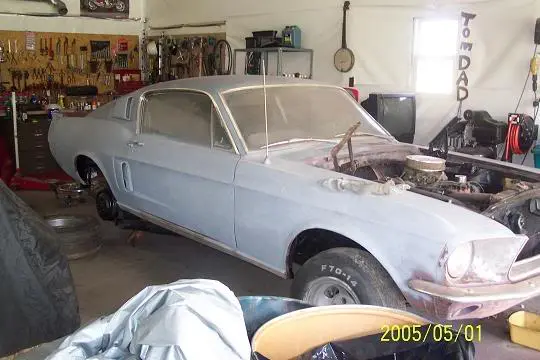 fastback1.webp