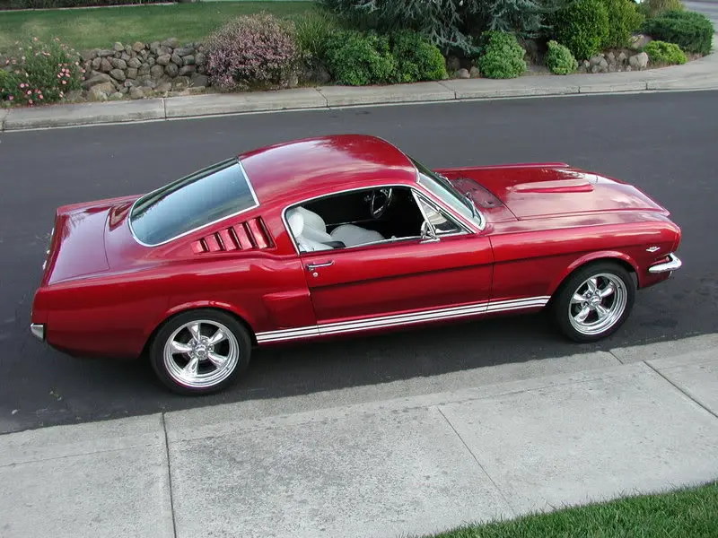 fastback12.webp