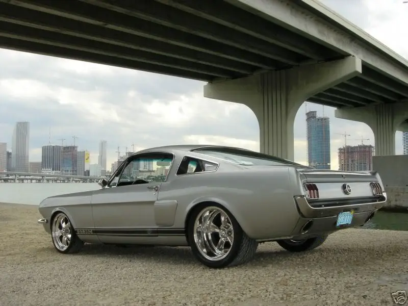 Fastback19652-1.webp