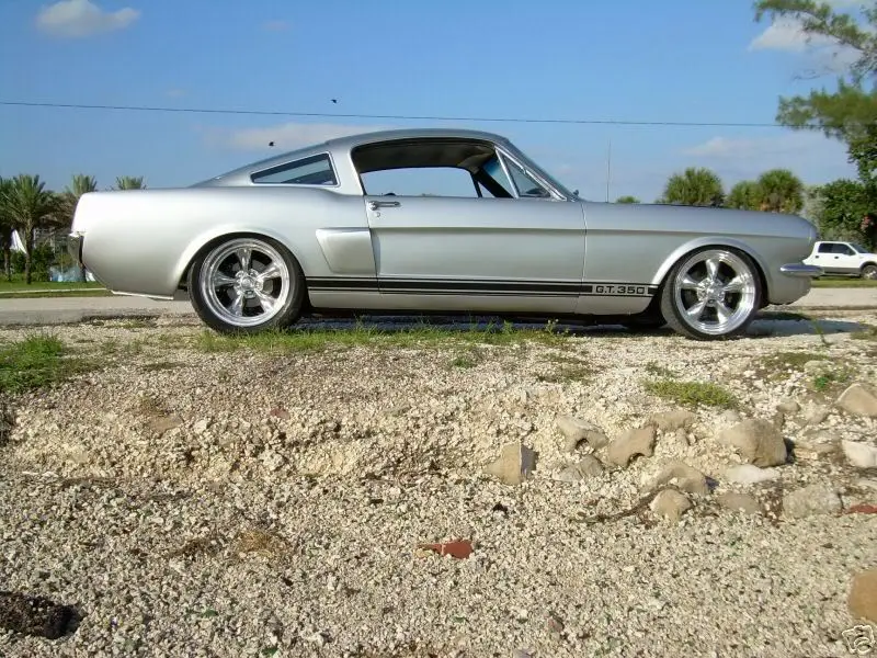 Fastback19655.webp