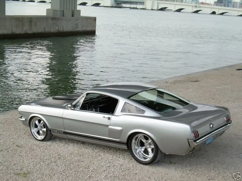 Fastback19659.webp