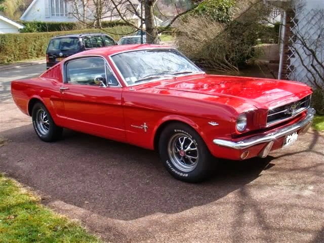 Fastback4.webp
