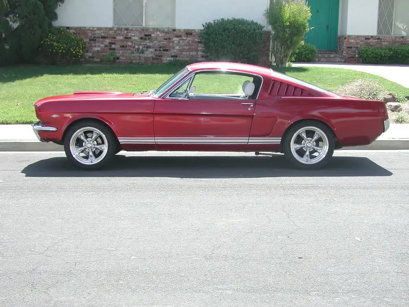 fastback7.webp