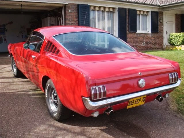 fastback8.webp