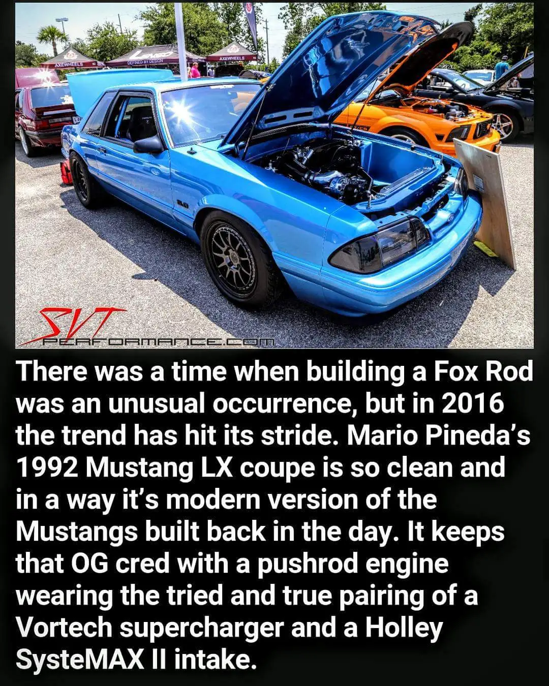 FB_IMG_1469821762477.webp