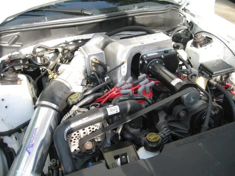 fbb44ce9.webp