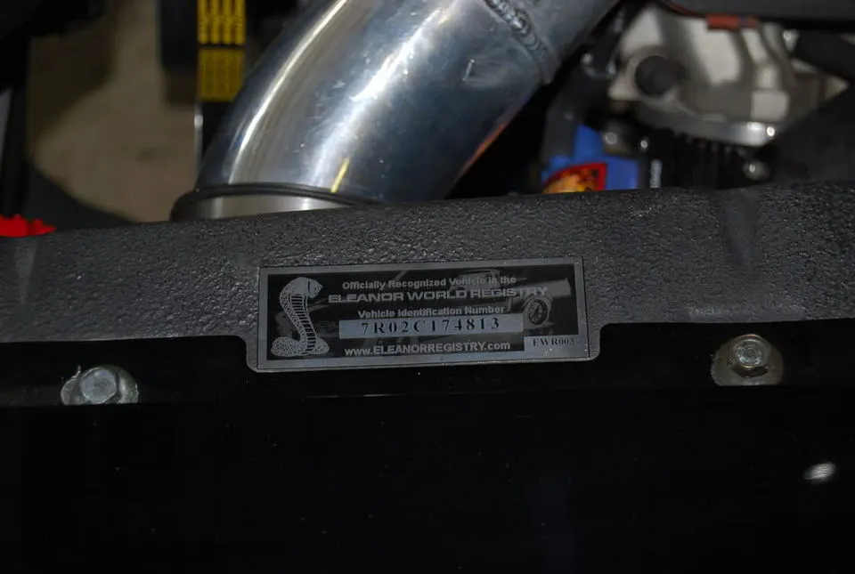 FenderEWRPlate2.webp