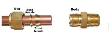 ferrule.webp