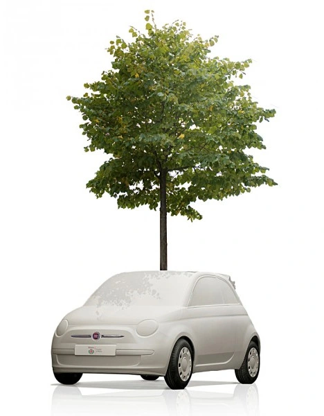 fiat_500c_planters_tree_milan_3.webp