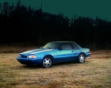 fieldstang.webp