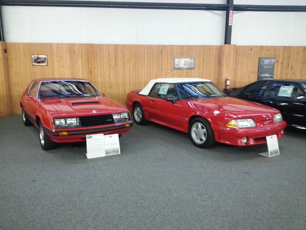 FirstAndLastFoxBody.webp