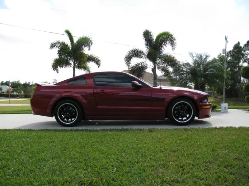 FirstNewCameraPics110.webp