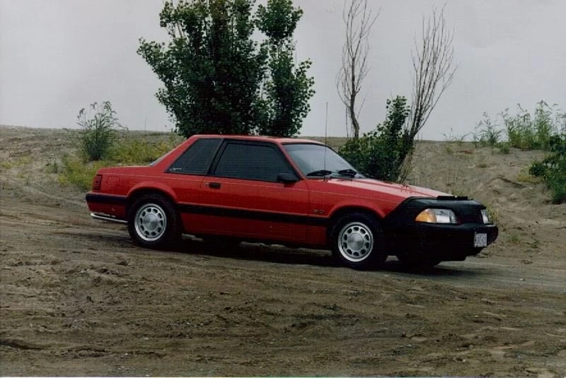 FirstPicture-1.webp