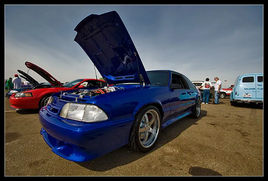 FL20103.webp