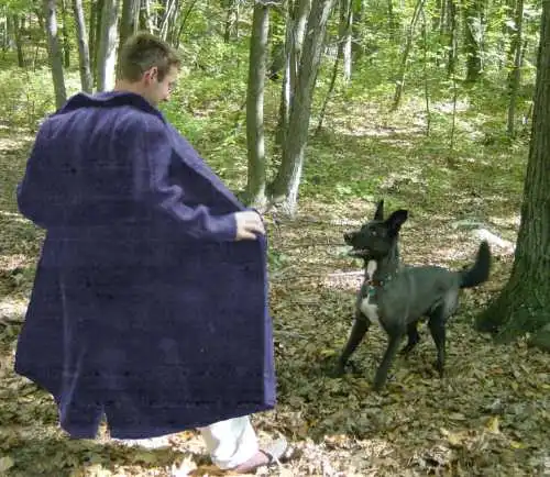 flasher.webp
