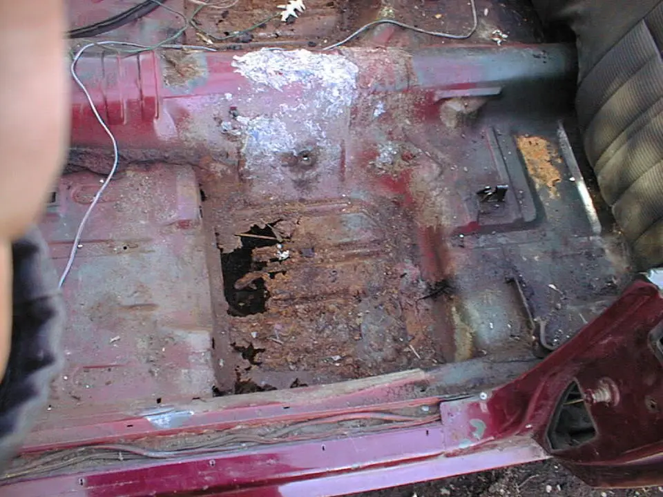 floorrot1.webp