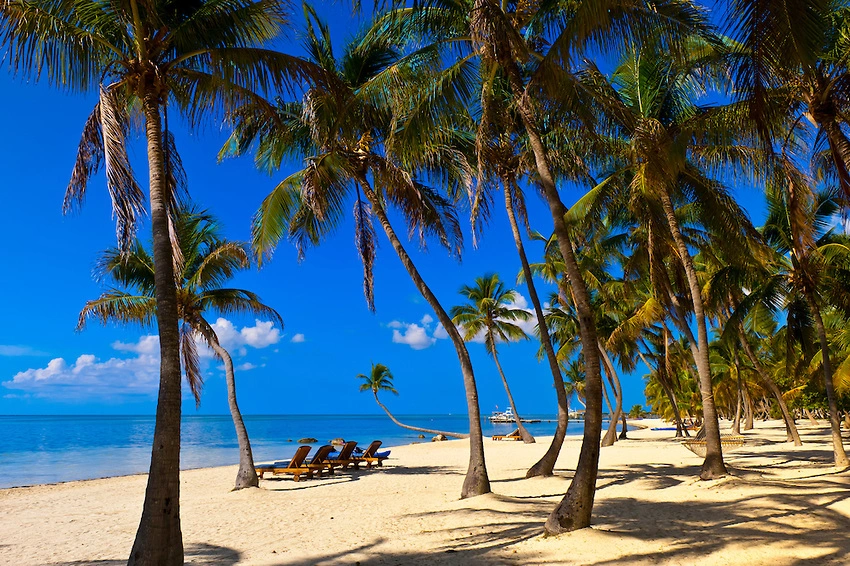 Florida-picture-I.webp