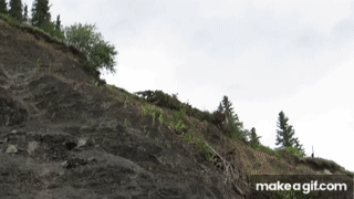 flying car.gif