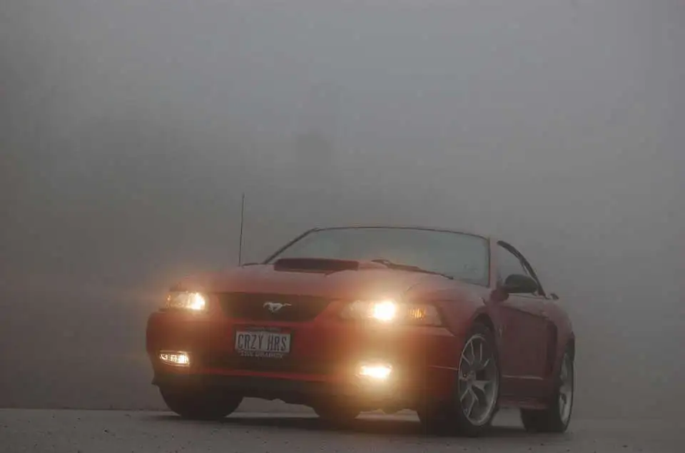 Foggy.webp
