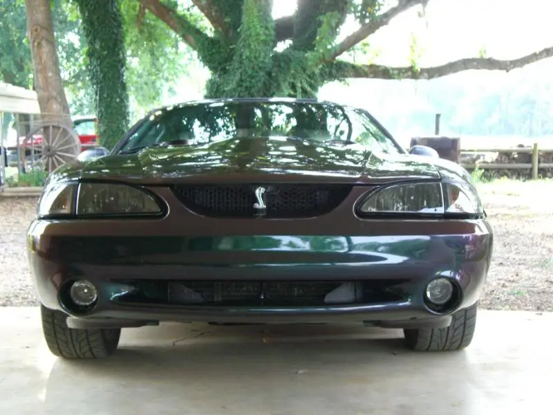 Fogs3.webp