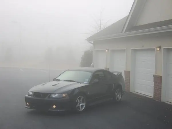 fogseriescallie04up5.webp