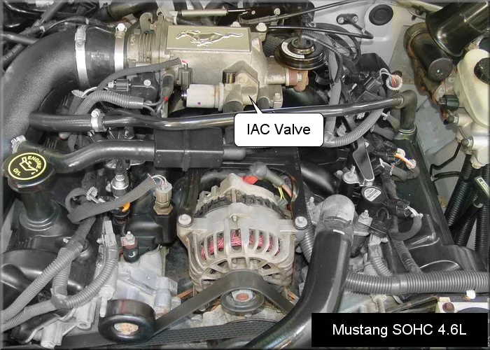 Ford_IAC_Mustang.webp