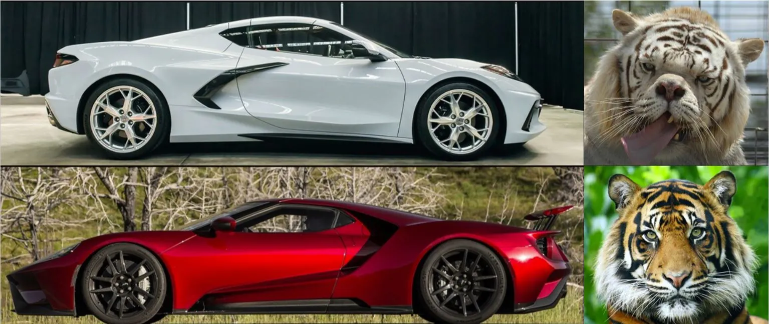 FordGTvCorvette.webp