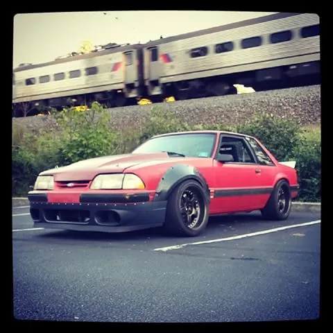 fox%20with%20cobra%20bumper_zpsedlqxk2s.webp