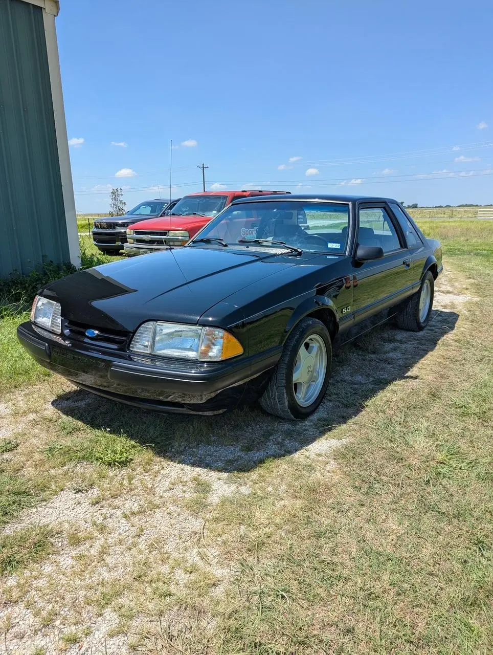 fox texas front.webp