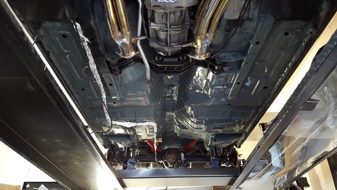 fox-underside1.webp