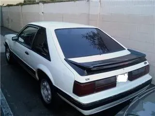Fox1Fixed.webp