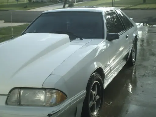 fox4.webp