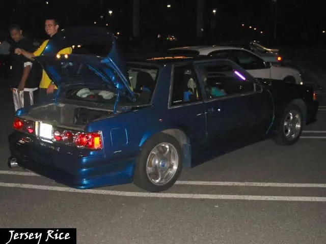 fox_mustang.webp