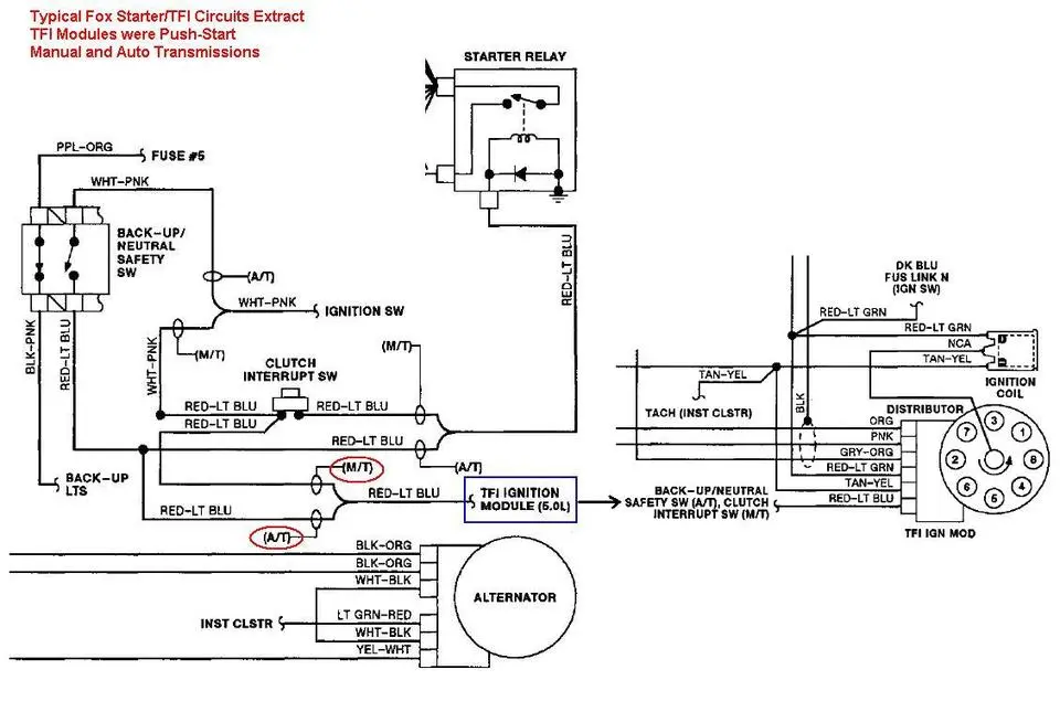Fox_Push_Start.webp