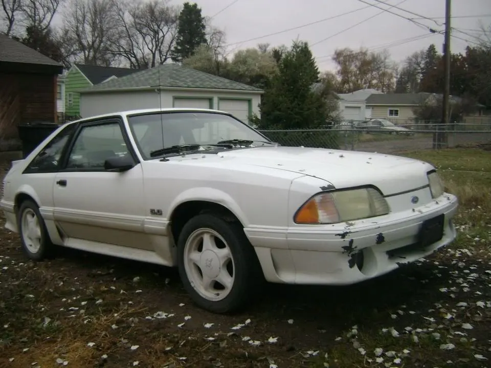 foxbody.webp