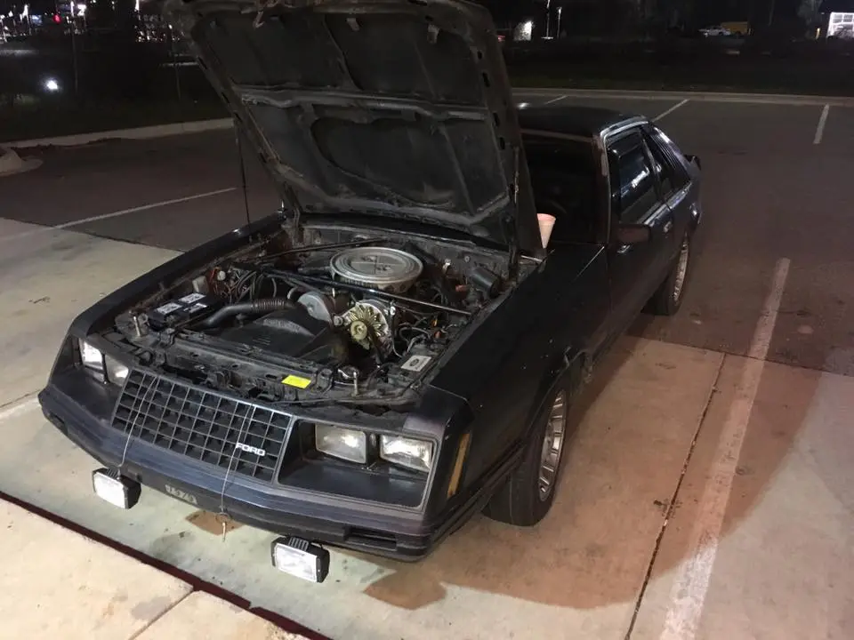 foxbody.webp