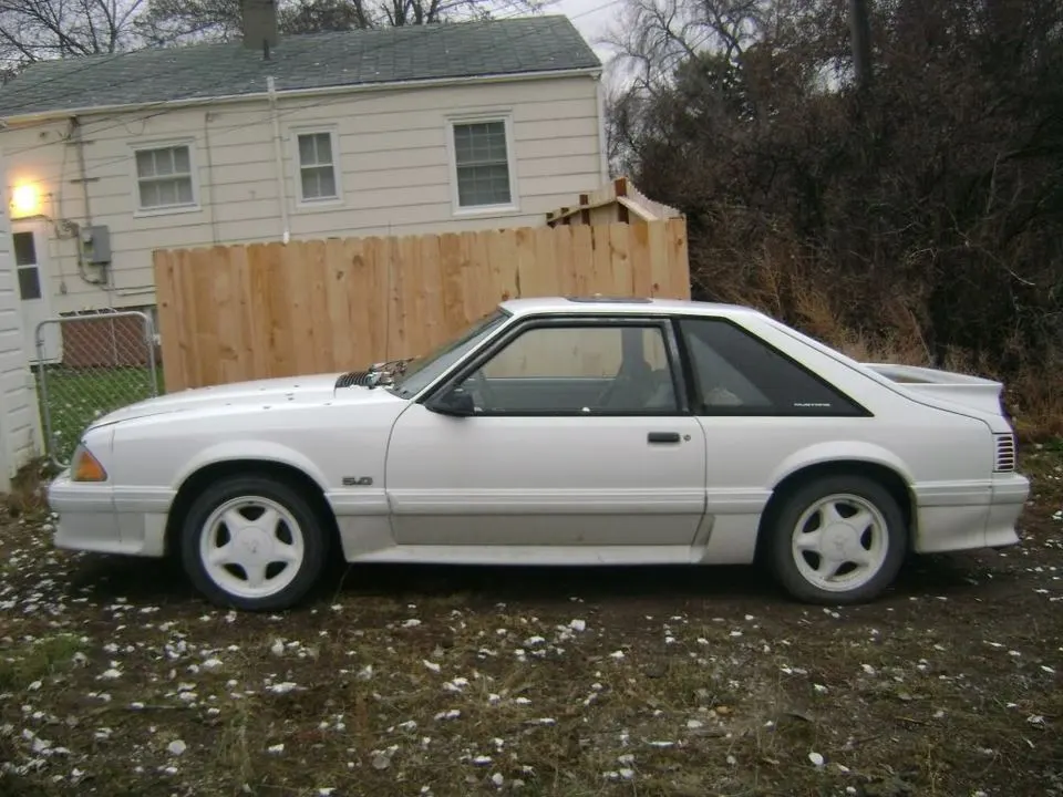 foxbody1.webp