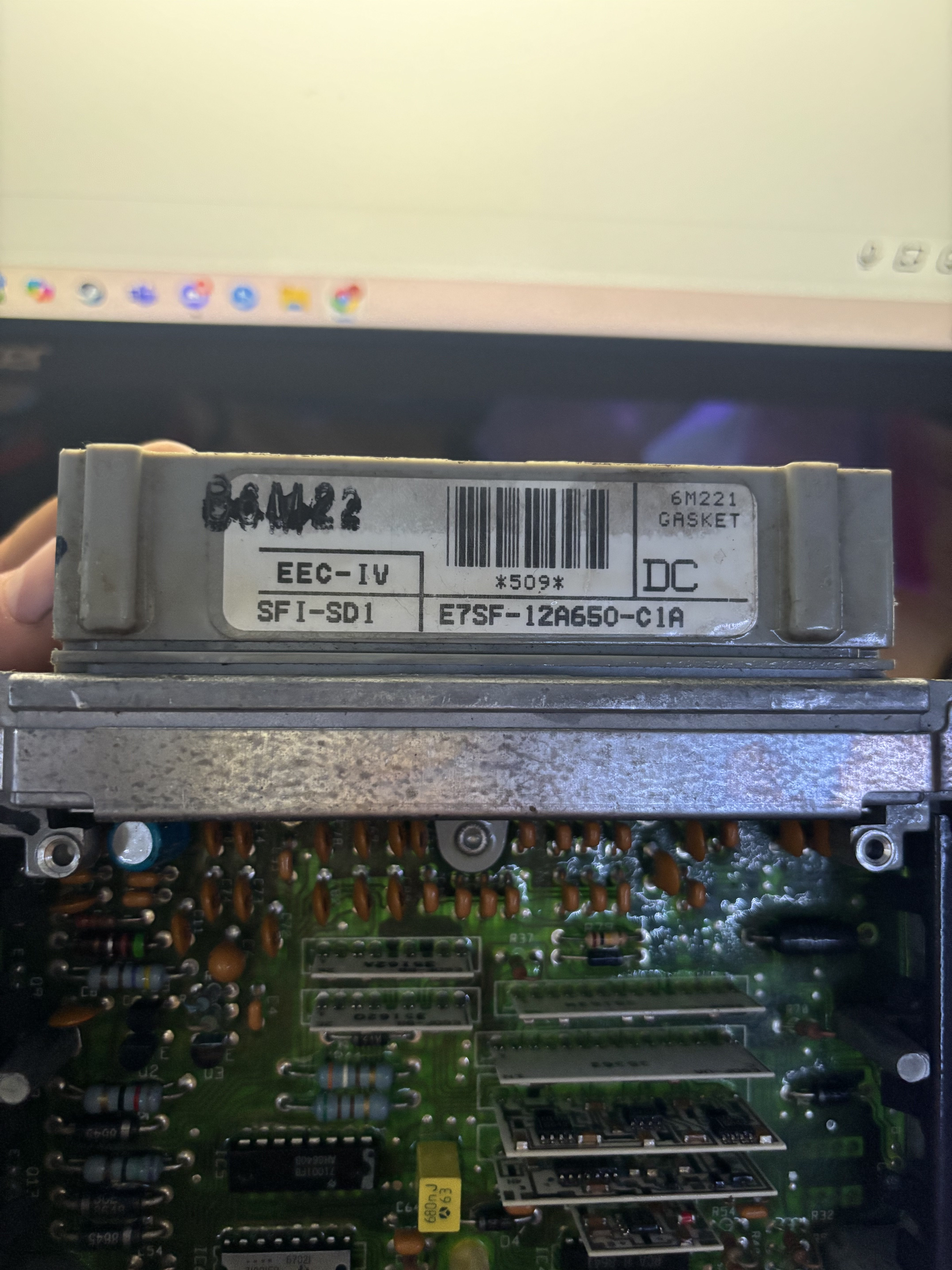 foxecu1.webp