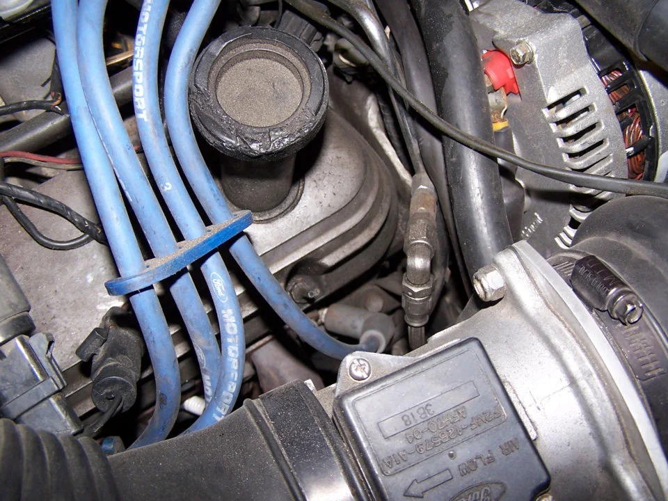 FP Gauge 10.webp