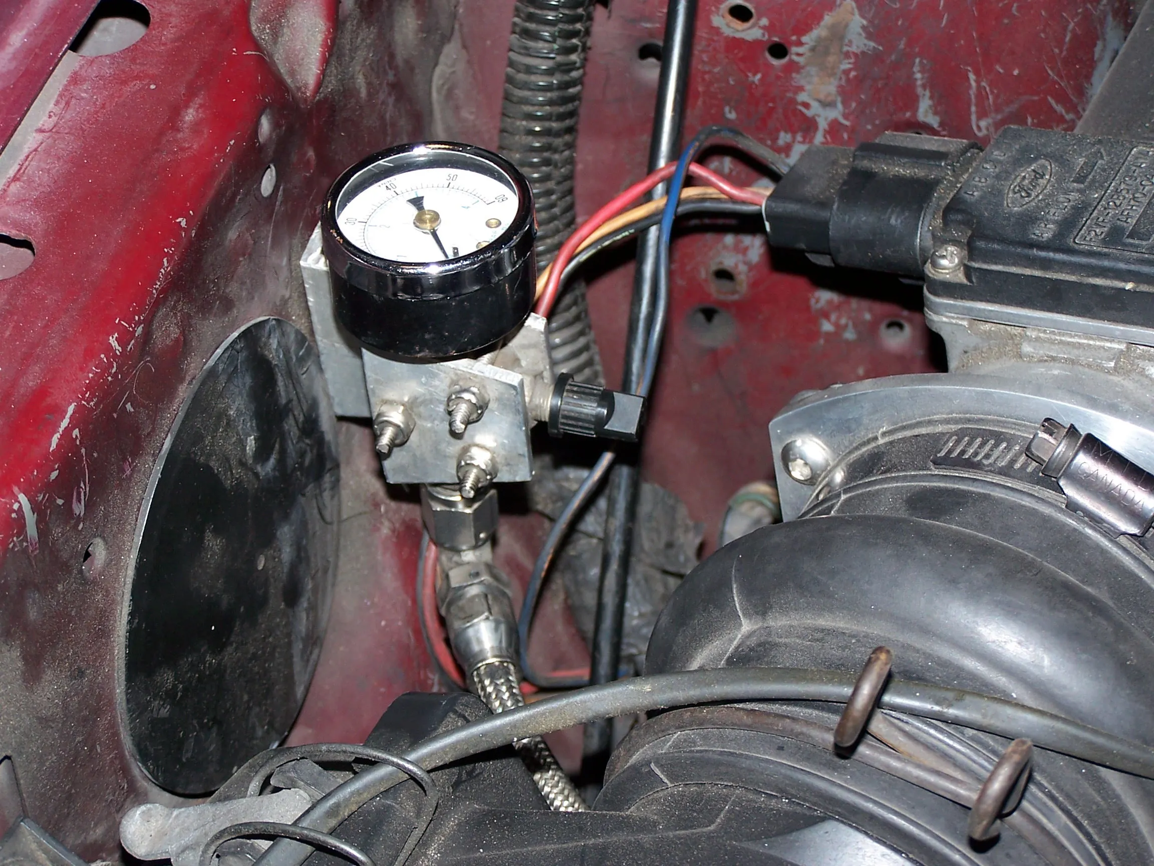 FP Gauge 11.webp