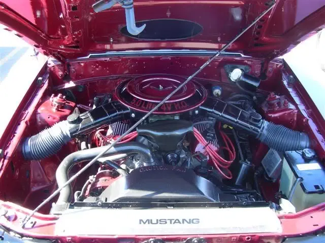 Freddy_Mustang_Show_June_2008_010.webp