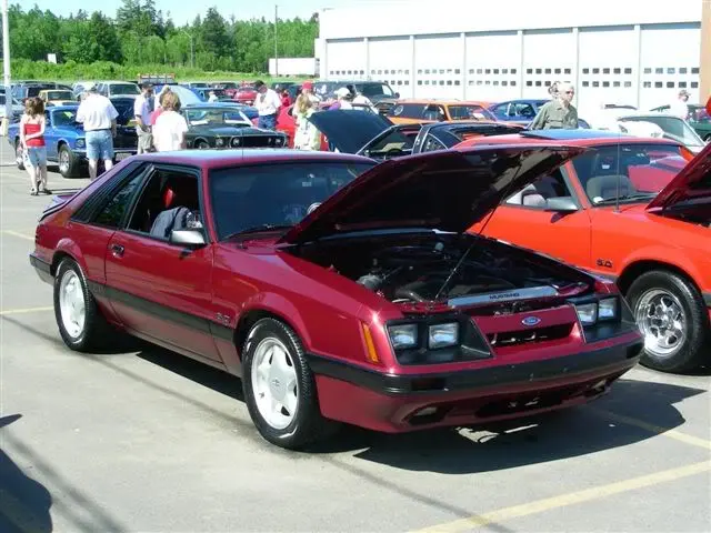 Freddy_Mustang_Show_June_2008_012.webp