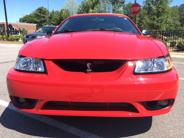 Front nose.webp