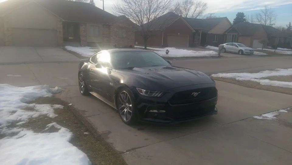 front profile.webp