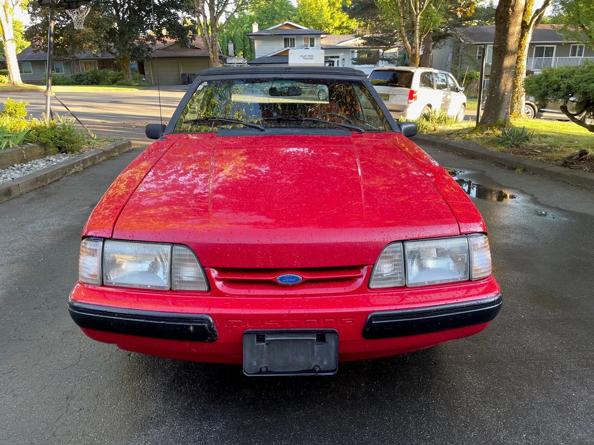 FRONT VIEW.webp