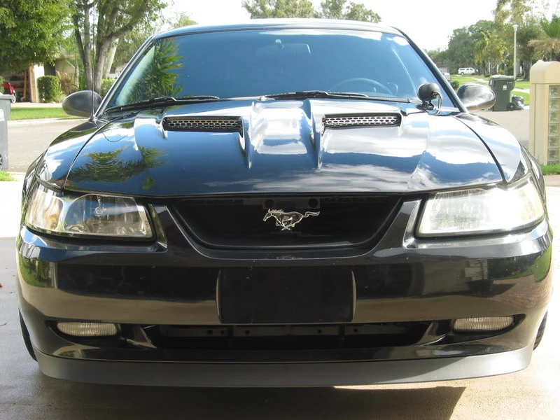 front.webp