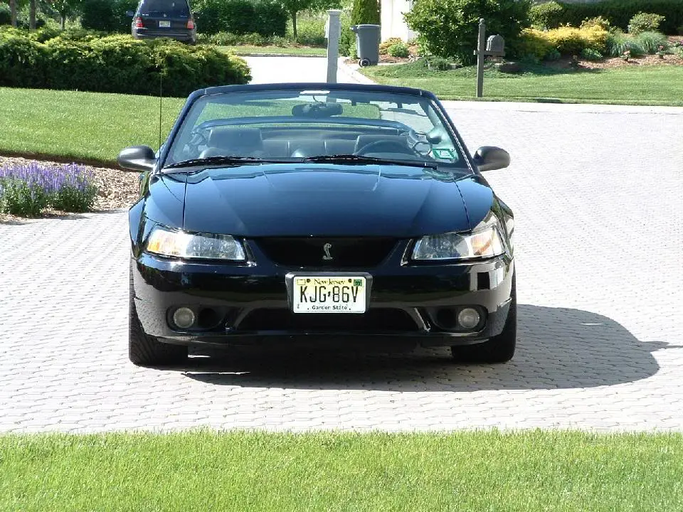 front.webp