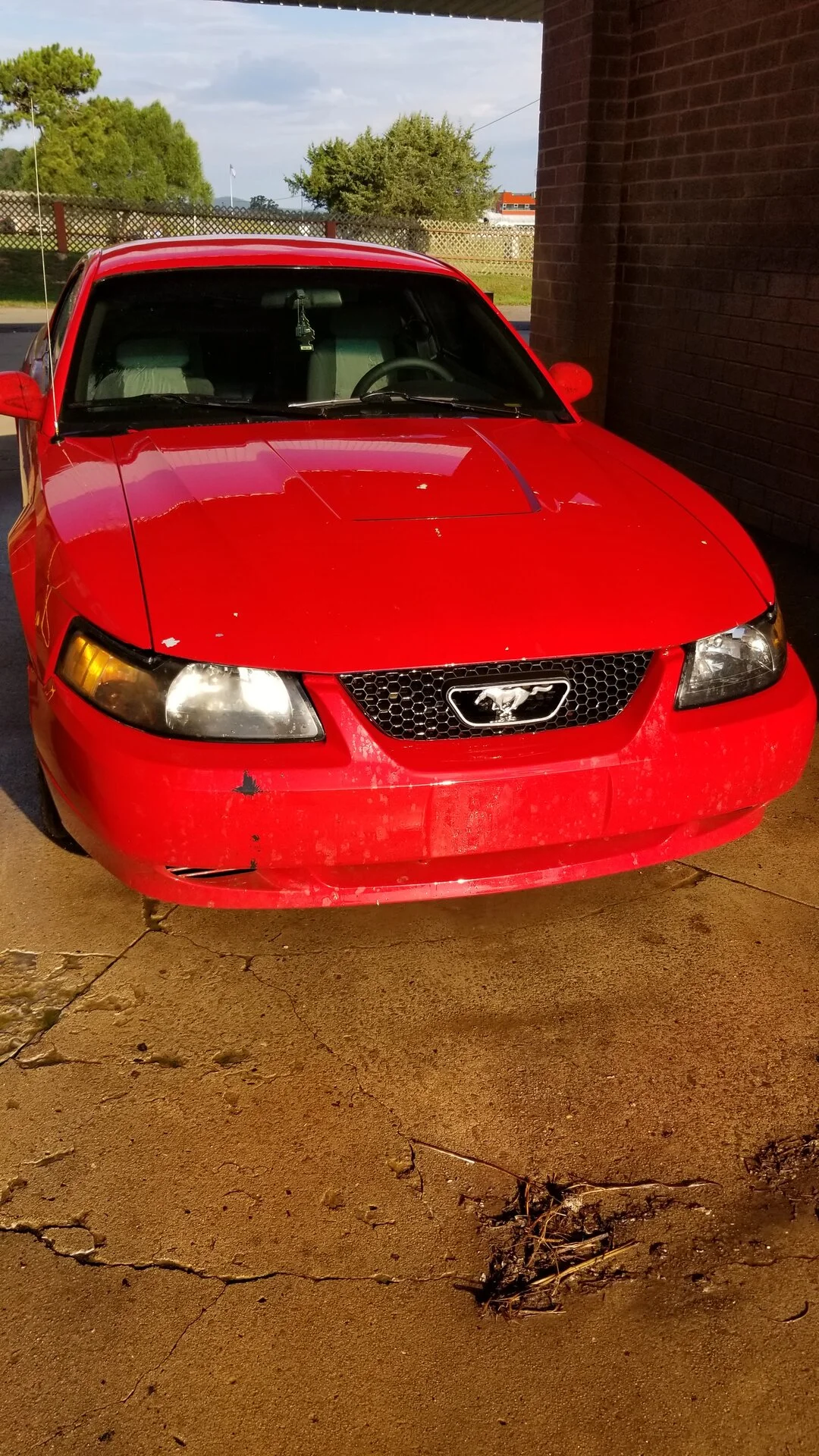 front.jpg