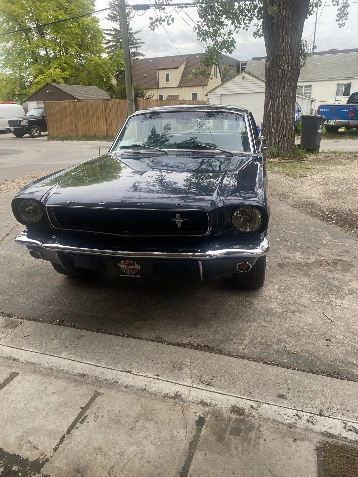 front.jpg