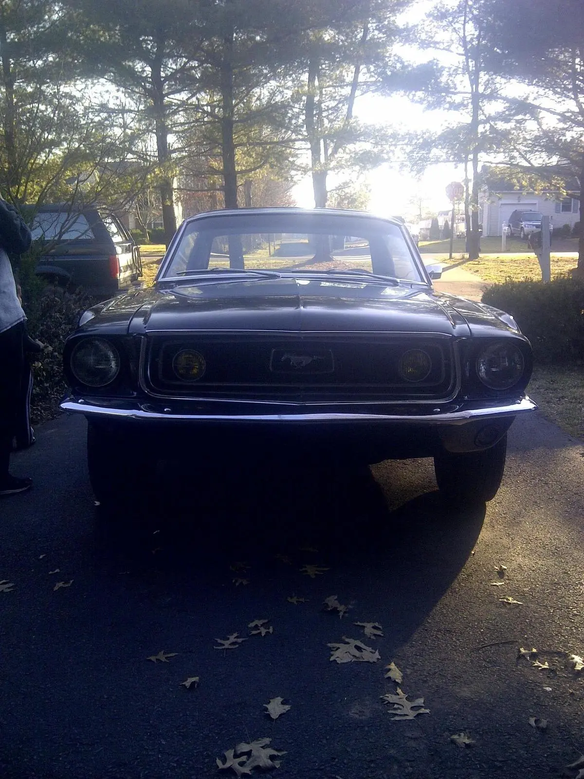 front.webp